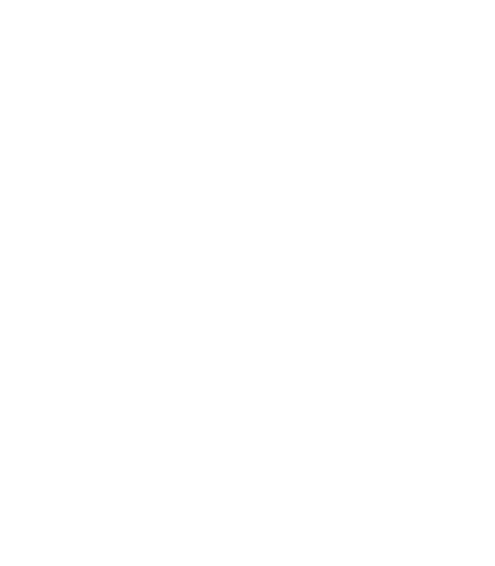 Exit Button